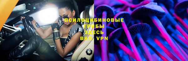 мет Бородино