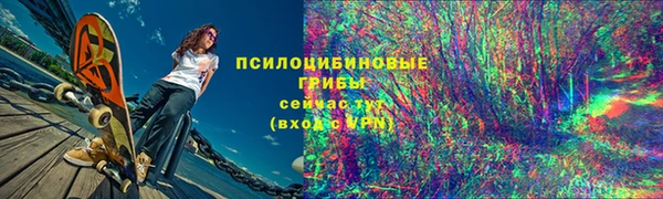 мет Бородино