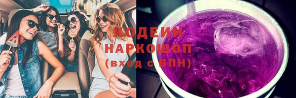 мет Бородино