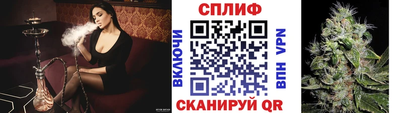 где купить наркоту  Псков  Каннабис гибрид 